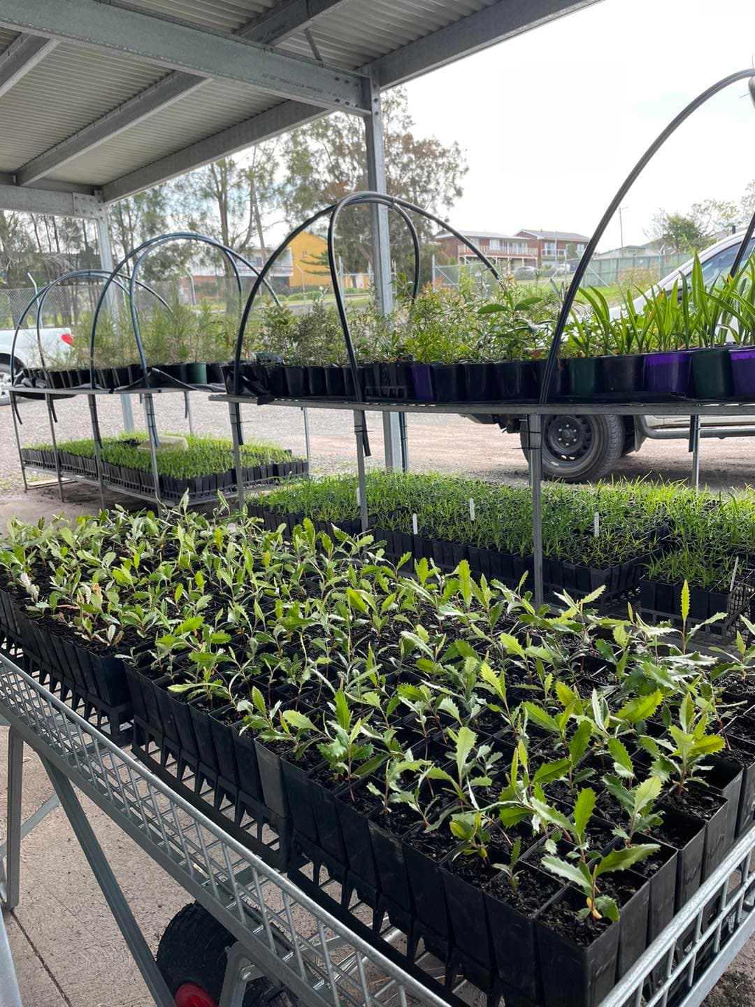 Aerial view of nursery facility