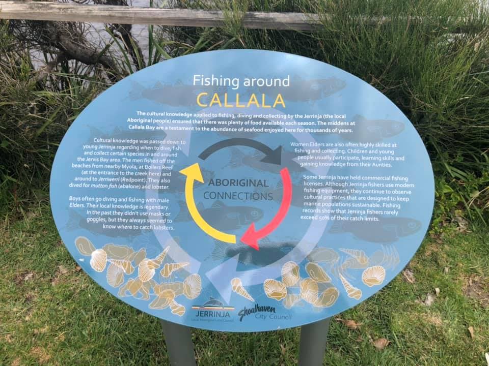 Australian native plant seedlings